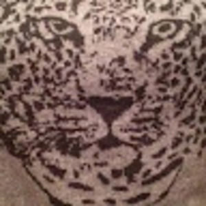 Meet your Posher, Tj